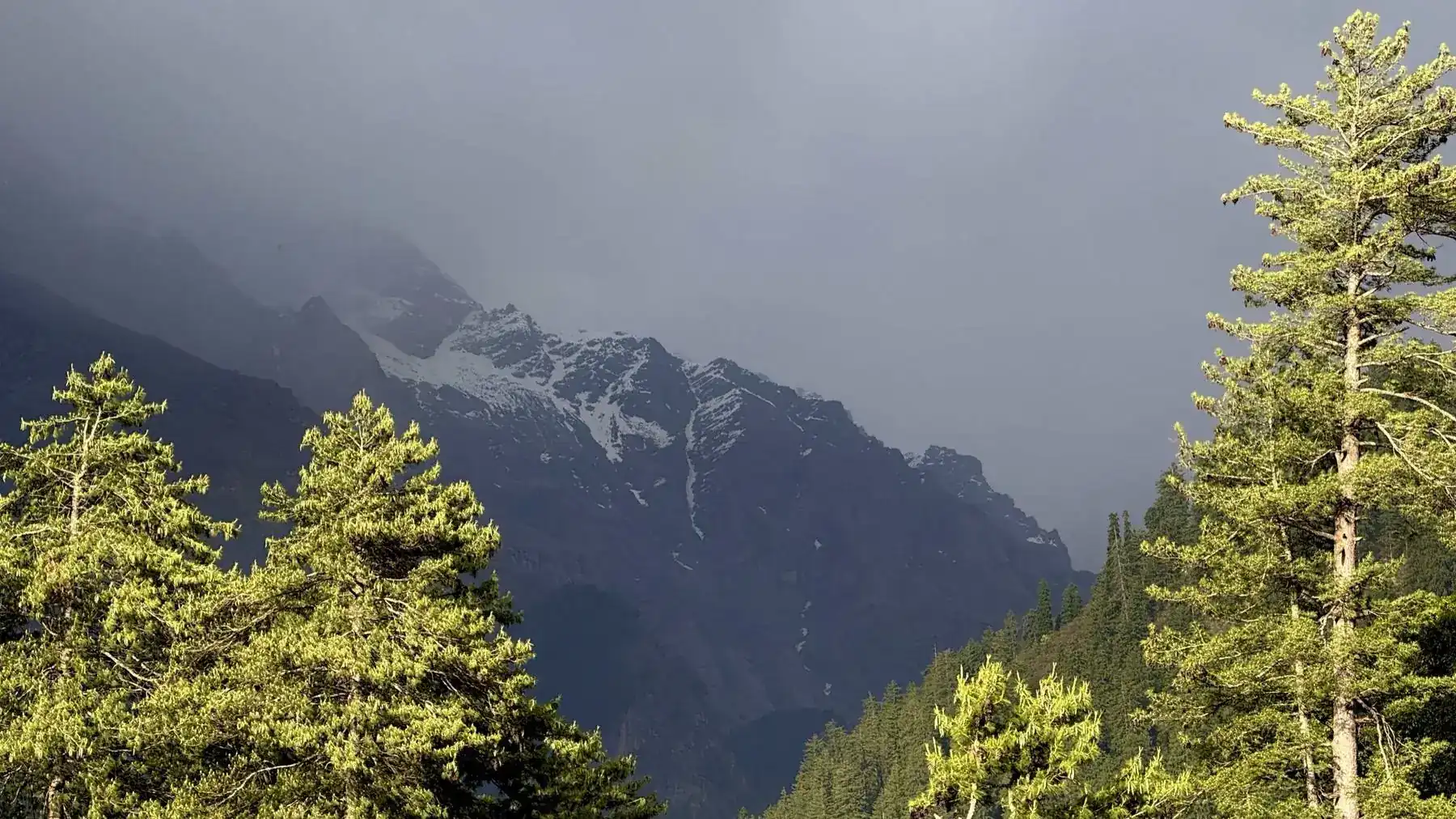The snow-capped Dhauladhar range above Dharamshala